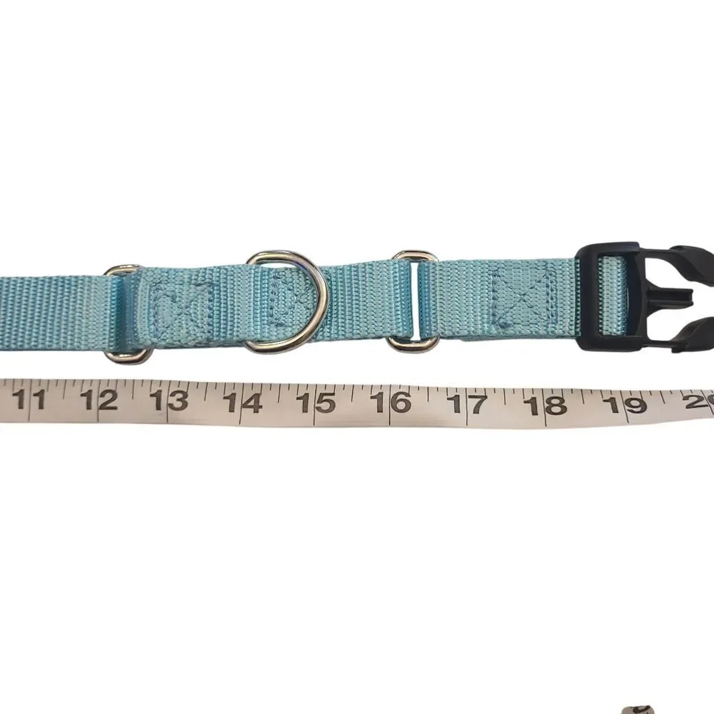 Country Brook Petz Dog Collar Size Large Soft Teal‎ 20